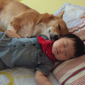 初めての試みの画像