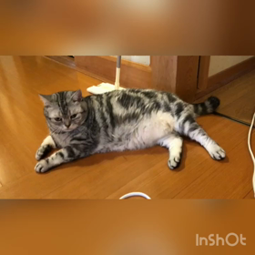 50にしてまだまだテンメイを知れないの画像