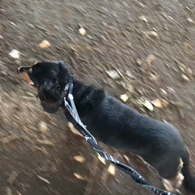 ♪お散歩動画♪代々木公園♪の画像