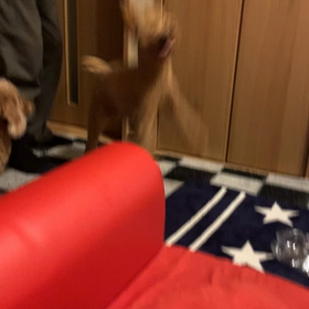 これがたまらんの画像