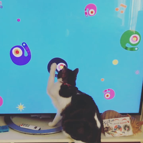 朝の過ごし方の画像