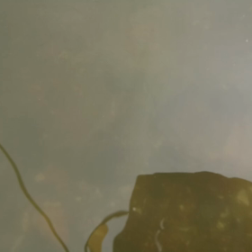 早起きは何とやら・・・・の画像