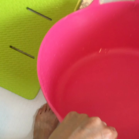 パグはタライインしてウトウト。の画像