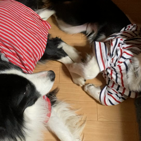 不要なものをリメイクの画像