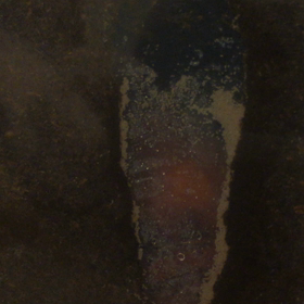 蛹化する俵ちゃんの画像