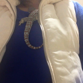 誰にも見られたくないの画像