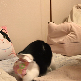 楽しくない話題ごめんね、吐かせてくださいの画像