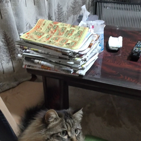 遊んでたらの画像