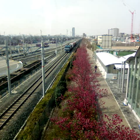 土曜日であり、三連休の方にとっては初日ですね(笑)の画像
