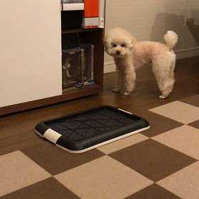 一人遊びの画像