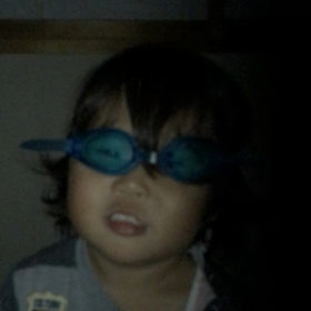 どんぐりコロコロの画像