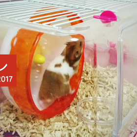 おはよー(’-’*)♪の画像