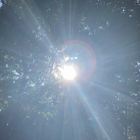 本日は中秋の名月の画像