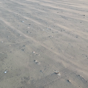 どうも調子が出んの画像