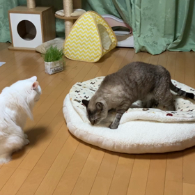 今日はダメの画像