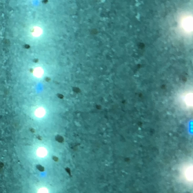 祝！初孵化！の画像