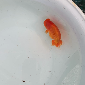 その後‥の画像