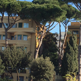 ハッピーニューイヤー！の画像