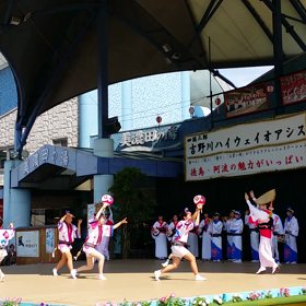 阿波おどり 6/21 夢風鈴さん ①の画像