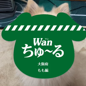 皆さんも作ってみて下さいの画像