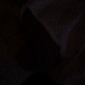 部屋とワイシャツと私の画像