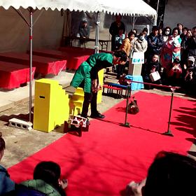 お猿さん(⌒‐⌒)の画像