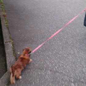 マナーは大切の画像