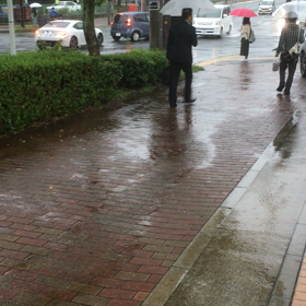 秋雨激しの画像