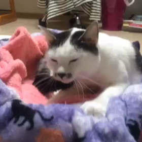 ラストスパートの画像