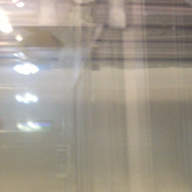 おチビさん絶好調の画像