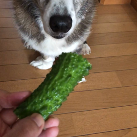 夏バテ予防の画像