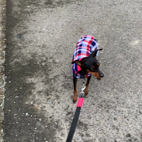 彼女のベストシーズンは短い。の画像