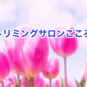 4月　〜スライドショー〜の画像