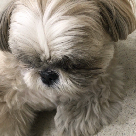 ♪プレイルーム動画♪の画像