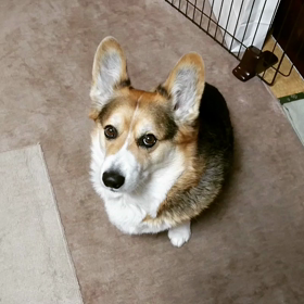 ハウス❗の画像