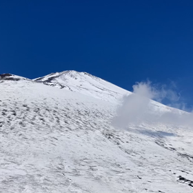 ドラゴンの画像