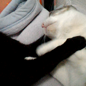 １年前の今日の画像