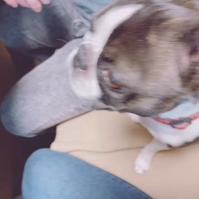 ももさんセラピーの画像