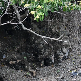 すぎぴたんの事件簿シーズン2　318話（何に見えるでしょうか！）の画像