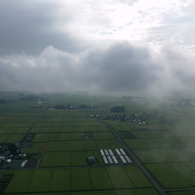 低ない？の画像