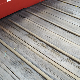 土佐〜の〜高知の〜の画像