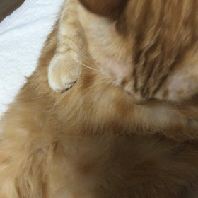 まだまだ、寒い日が続くの画像