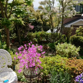 ココモちゃん幸せにね❤️の画像