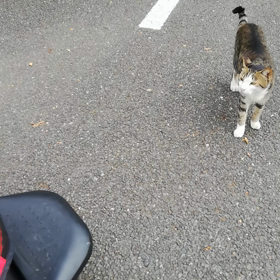 苦手だわぁ（泣）の画像