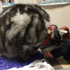 今週はの画像