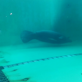 ミステリーツアー　⑤の画像