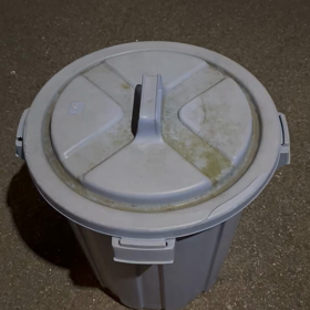 イタチを捕獲したよ〜ビックリの画像