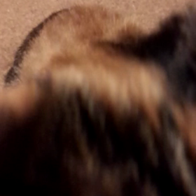 おかわり。の画像