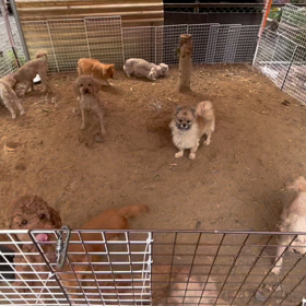 おはようございますの画像