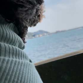 分かりやすい場所にドライブ✨の画像